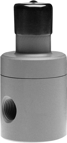 CPVC Back Pressure Valves (50 psi)