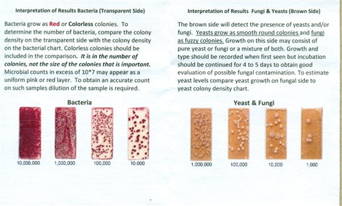 Total Bacteria and Yeast/Fungi Dipslides - Box of 10