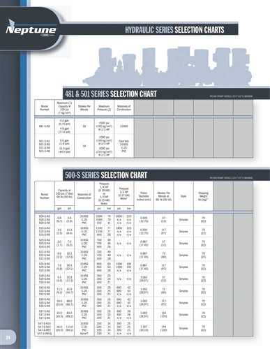 Neptune Simplex and Duplex Pumps
