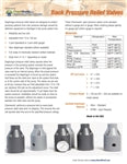 Back Pressure Relief Valves Product Bulletin
